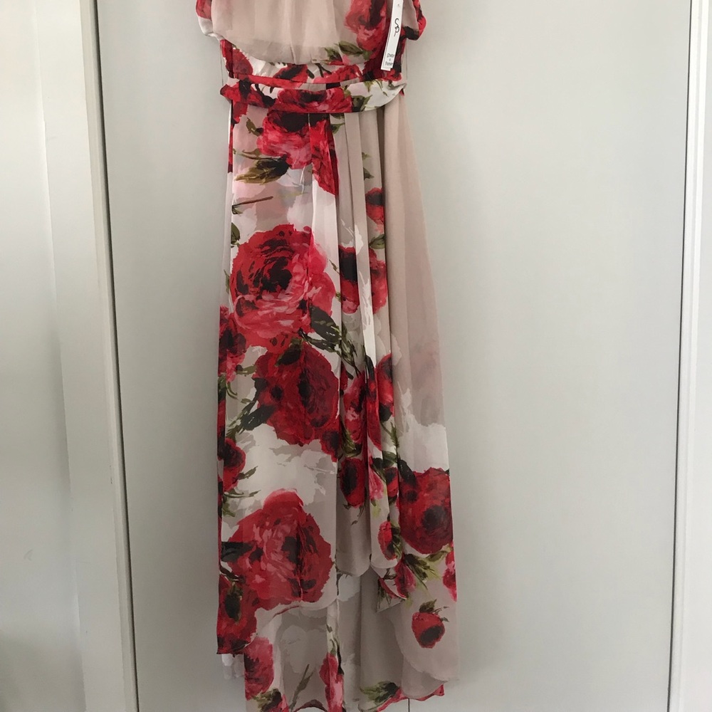 Shelby and Palmer Dress Size: 6 NWT
